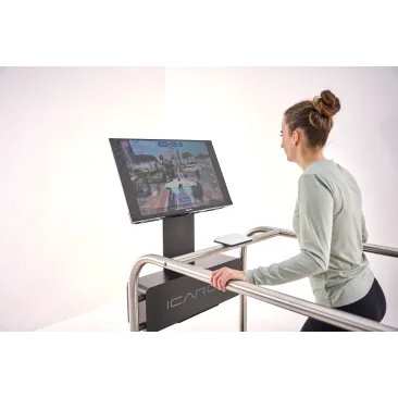 ICAROS Guardian - Sistem Profesional Echilibru si Recuperare